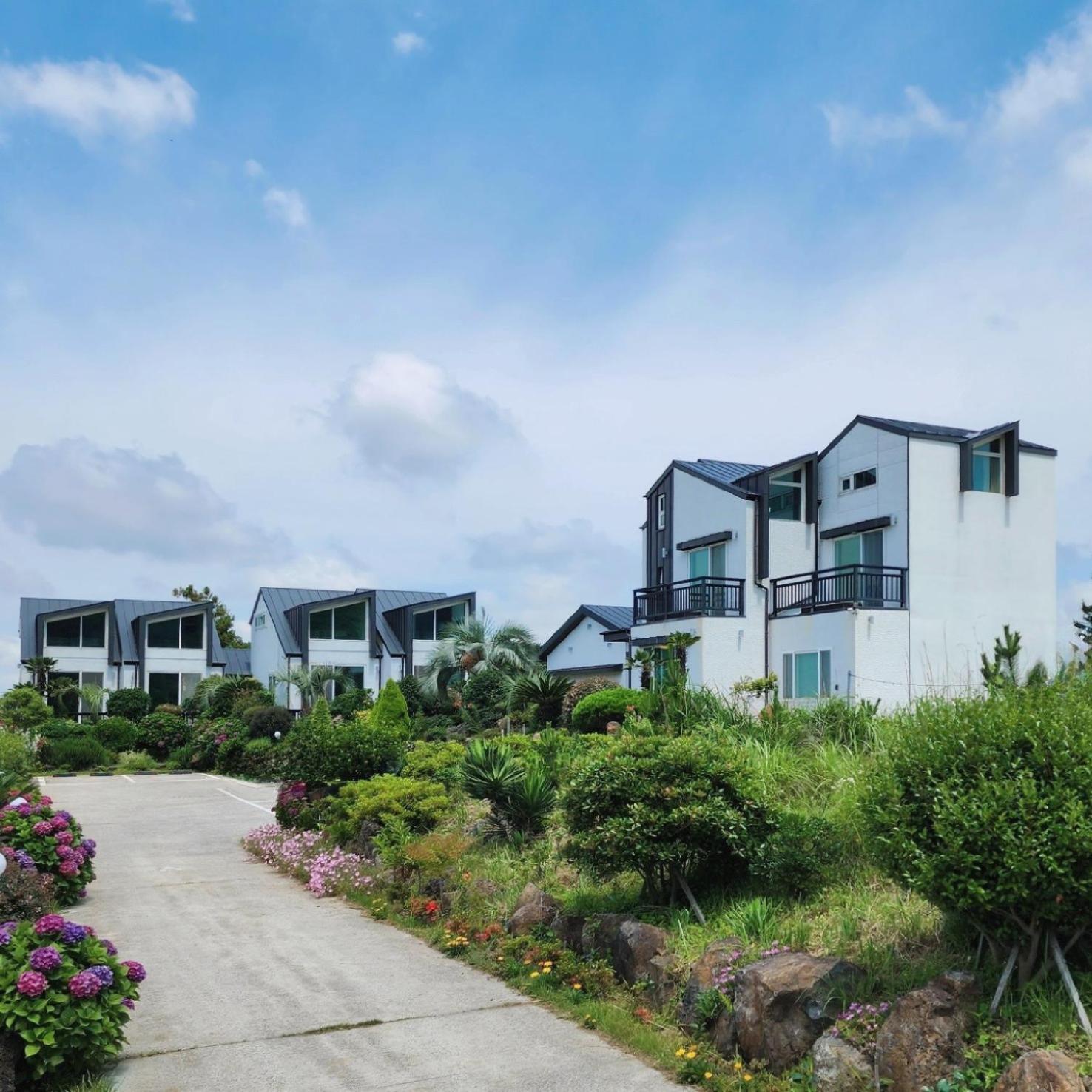 Jeju 542 Pension Seogwipo Dış mekan fotoğraf
