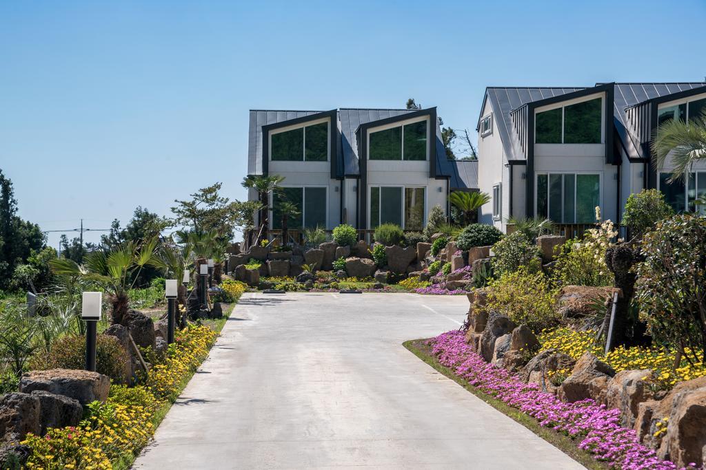 Jeju 542 Pension Seogwipo Oda fotoğraf